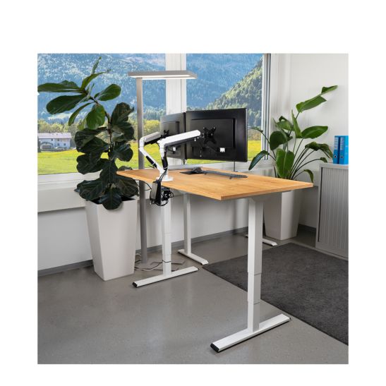 Contini Table de bureau réglable en hauteur 160 x 80 cm imitation chêne / châssis blanc
